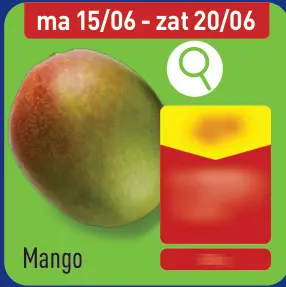 Promotie: Mango