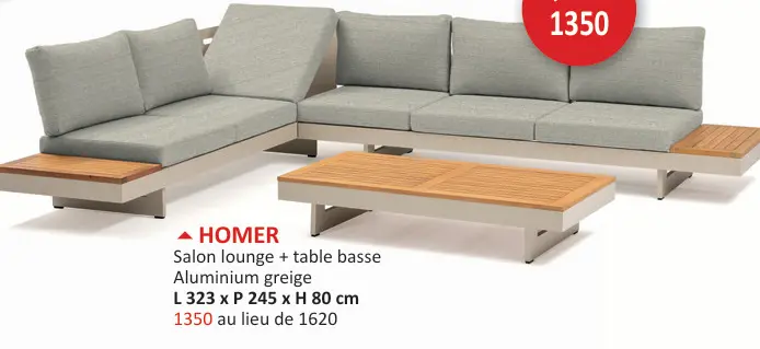 Offre: Homer