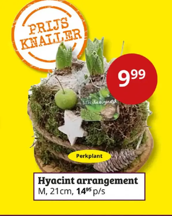 Aanbieding: Hyacint arrangement