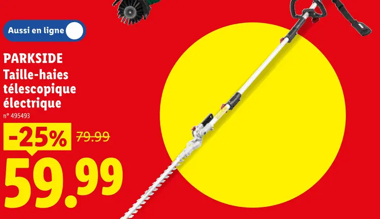 Offre: Taille-haies télescopique électrique
