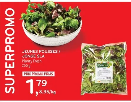 Offre: Jeunes pousses / jonge sla