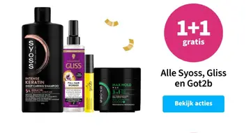 Aanbieding: Alle Syoss, Gliss en Got2b
