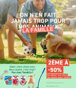 Offre: Jouets pour chiens