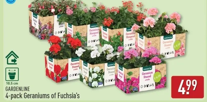 Aanbieding: Geraniums of Fuchsia's