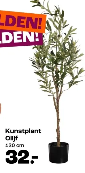 Promotie: Kunstplant Olijf