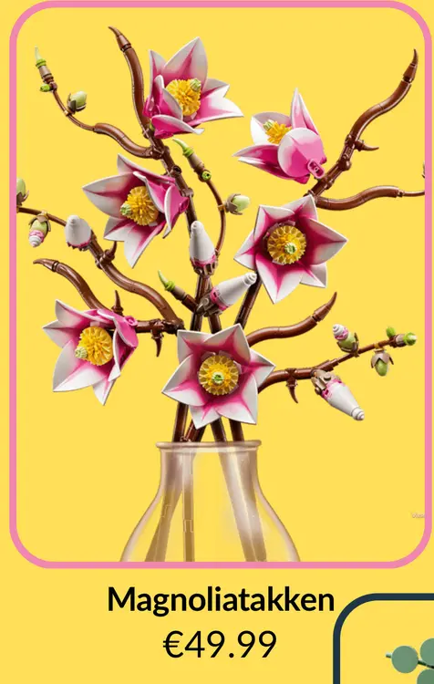 Promotie: Magnoliatakken