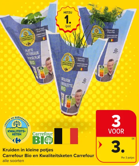 Promotie: Kruiden in kleine potjes