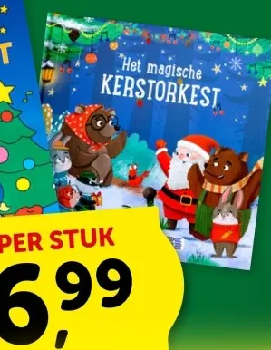 Aanbieding: Het magische KERSTORKEST