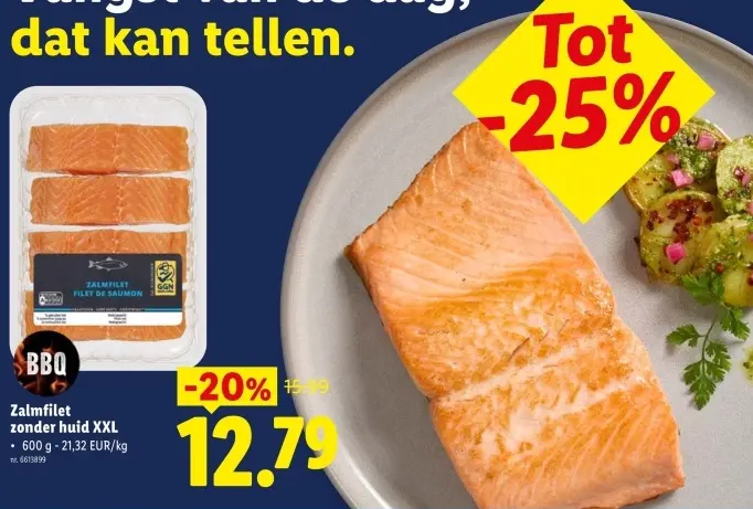 Promotie: Zalmfilet
