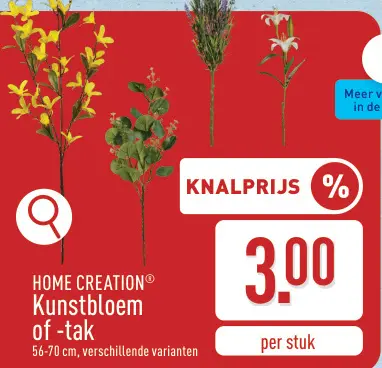 Promotie: Kunstbloem of -tak