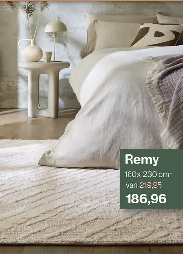Aanbieding: Remy vloerkleed