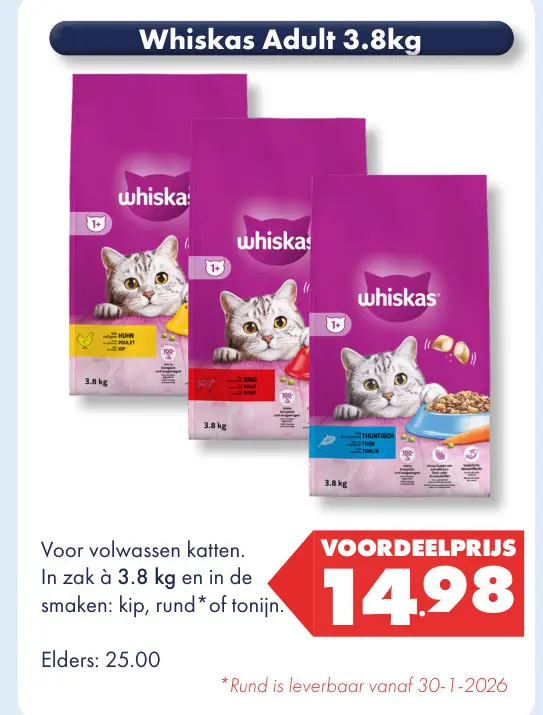 Aanbieding: Adult