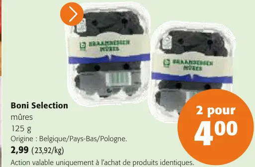 Offre: Mûres