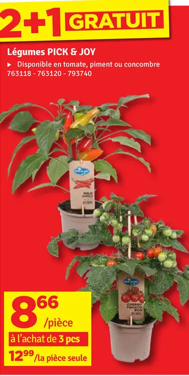 Offre: Légumes PICK & JOY