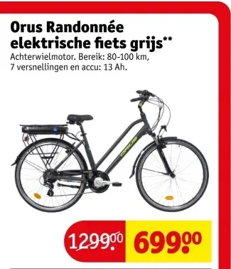 Aanbieding: Randonnée elektrische fiets grijs