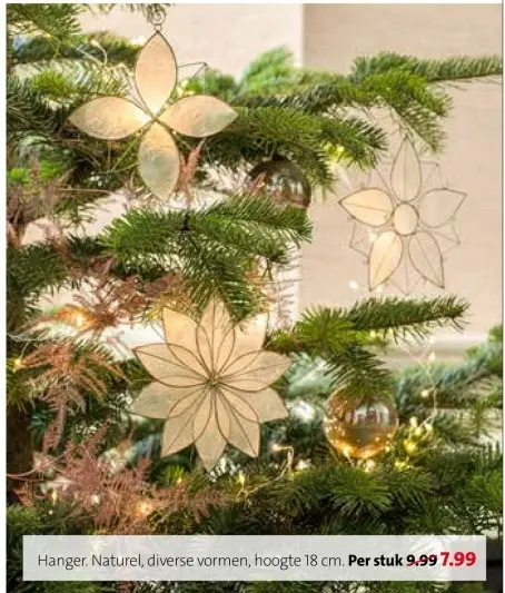 Aanbieding: Hanger