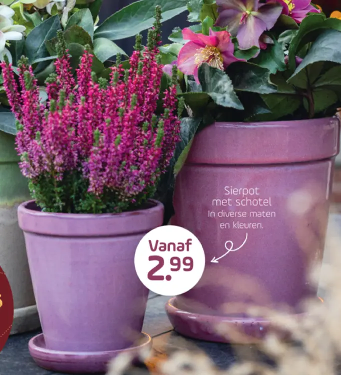 Aanbieding: Sierpot met schotel