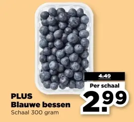 Aanbieding: Blauwe bessen