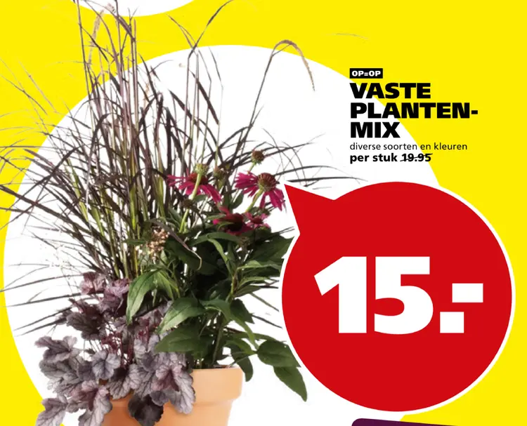 Aanbieding: Vaste planten-mix
