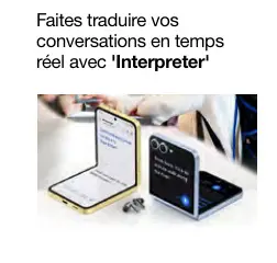 Offre: Interpreter