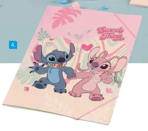 Offre: Chemise à élastiques A4