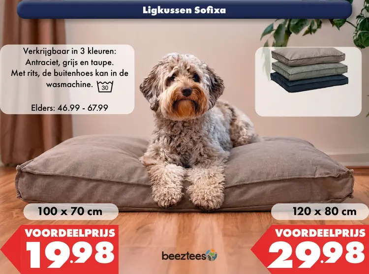 Aanbieding: Ligkussen Sofixa