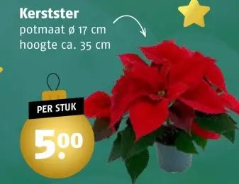 Aanbieding: Kerstster