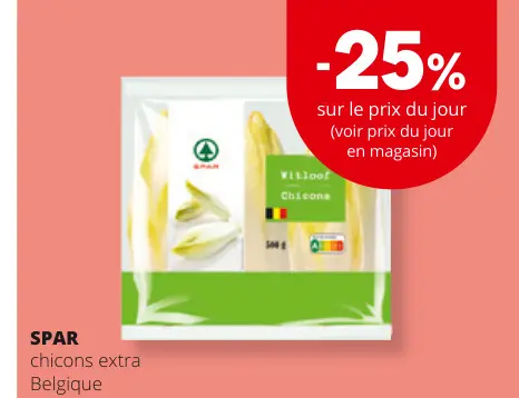 Offre: Chicons extra