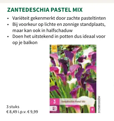 Promotie: Zantedeschia pastel mix