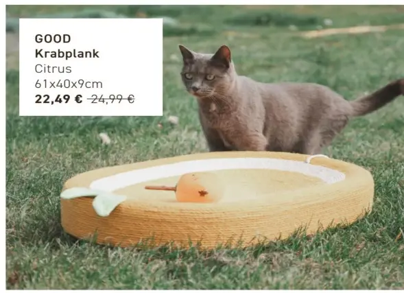Promotie: Krabplank Citrus