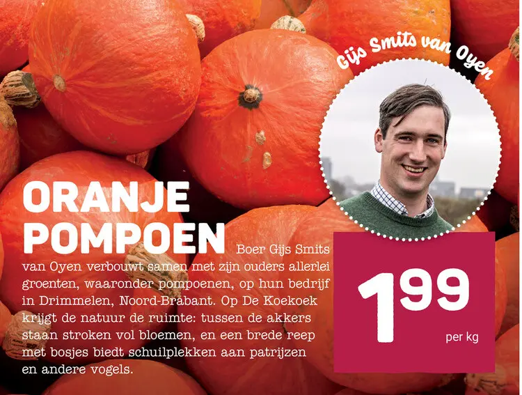 Aanbieding: Oranje pompoen
