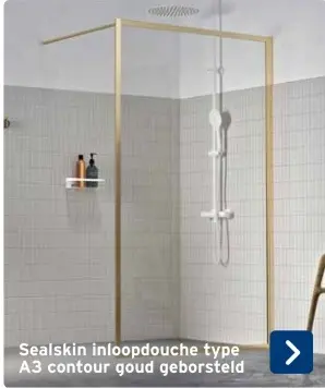 Aanbieding: Sealskin inloopdouche type A3 contour goud ge
