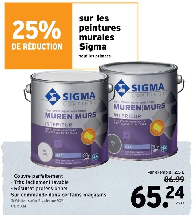Offre: Peinture murale Muren Murs Interieur