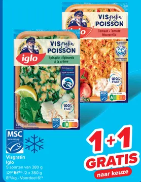 Aanbieding: Visgratin