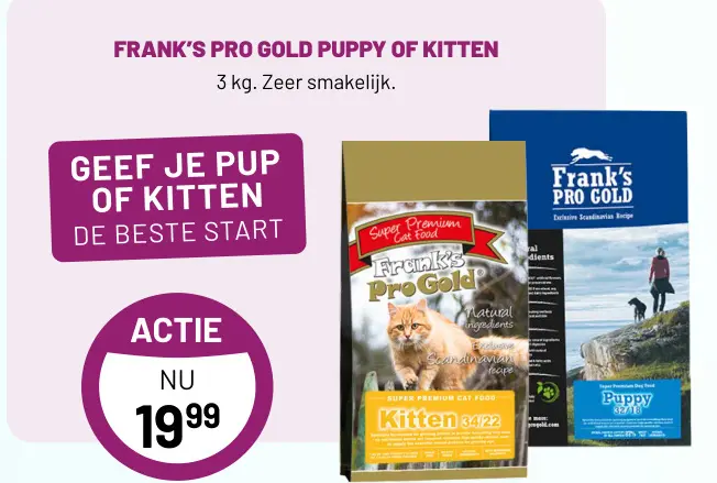 Aanbieding: Pro gold puppy of kitten