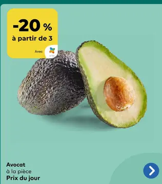 Offre: Avocat