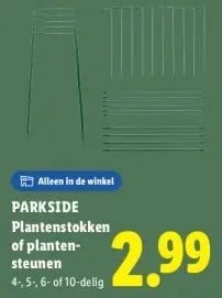 Aanbieding: Plantenstokken of plantensteunen