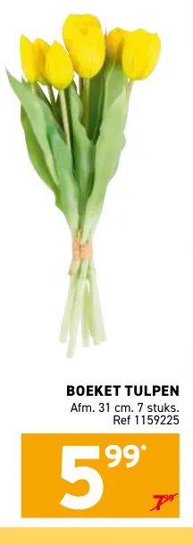 Promotie: Boeket tulpen