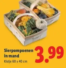 Aanbieding: Kamerplant in mand