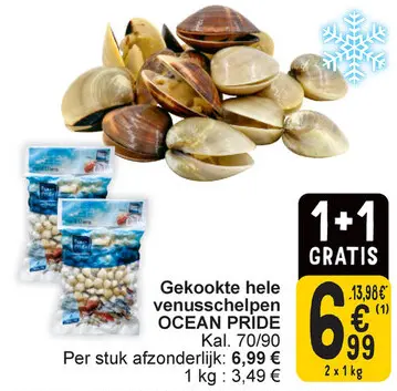 Aanbieding: Gekookte hele venusschelpen