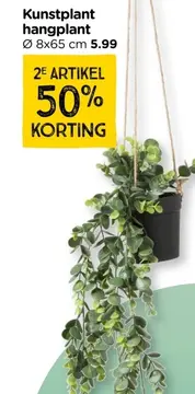 Aanbieding: Hangplant - 65 cm