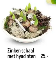 Promotie: Zinken schaal met hyacinten