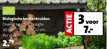 Aanbieding: Biologische keukenkruiden