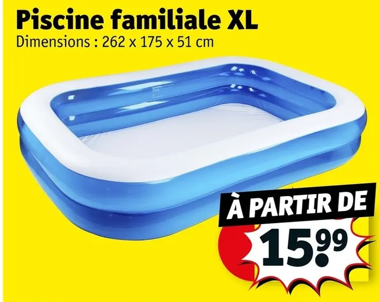 Offre: Piscine familiale XL