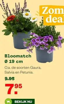 Aanbieding: Bloomatch