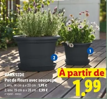 Offre: Pot de fleurs avec soucoupe