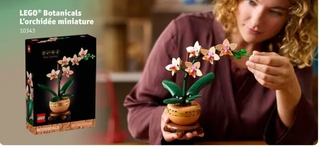 Offre: L'orchidée miniature