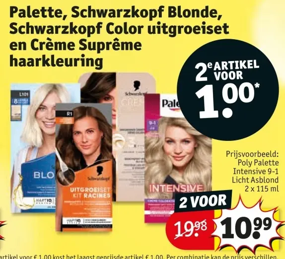 Aanbieding: Haarkleuring