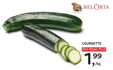 Offre: Courgette