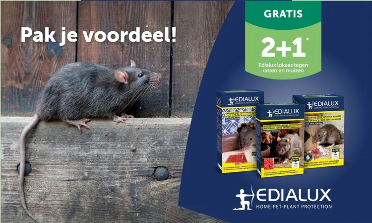 Promotie: Edialux lokaas tegen ratten en muizen
